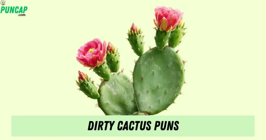 Dirty Cactus Puns