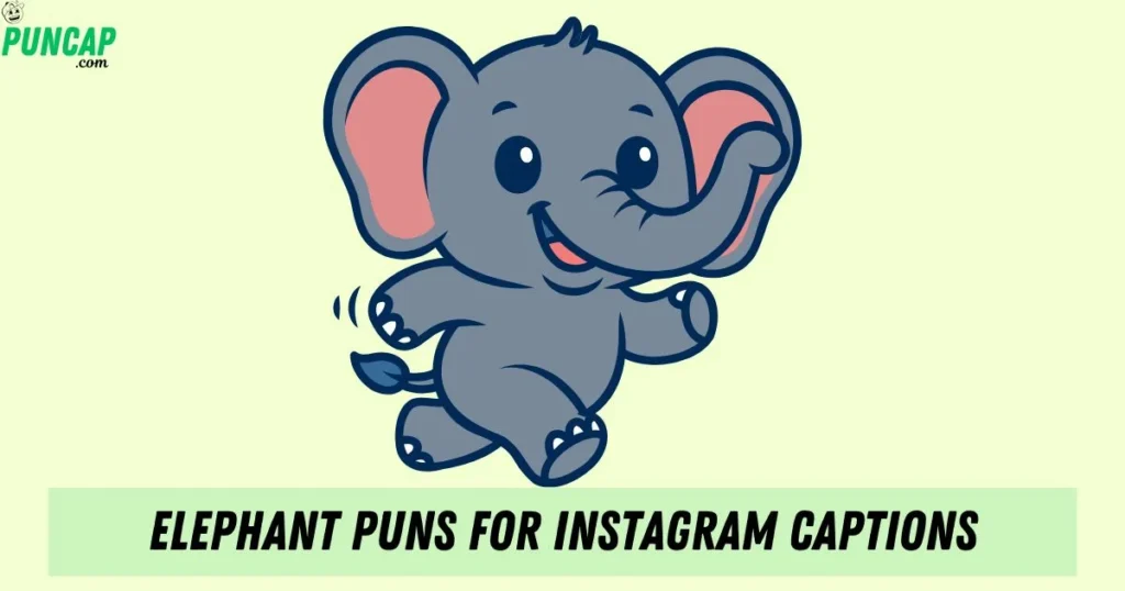 Elephant Puns For Instagram Captions