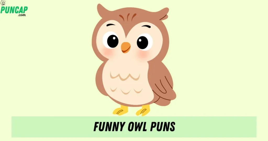 Funny Owl Puns