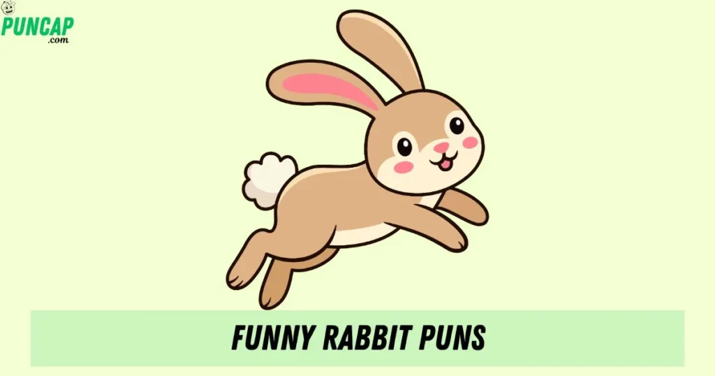 Funny Rabbit Puns
