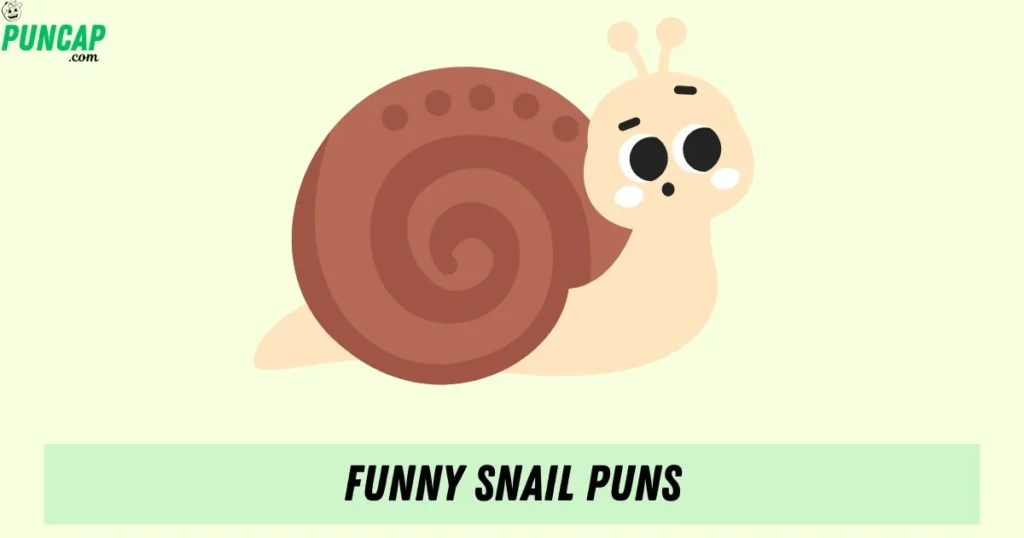 Funny Snail Puns