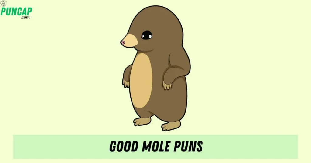 Good Mole Puns