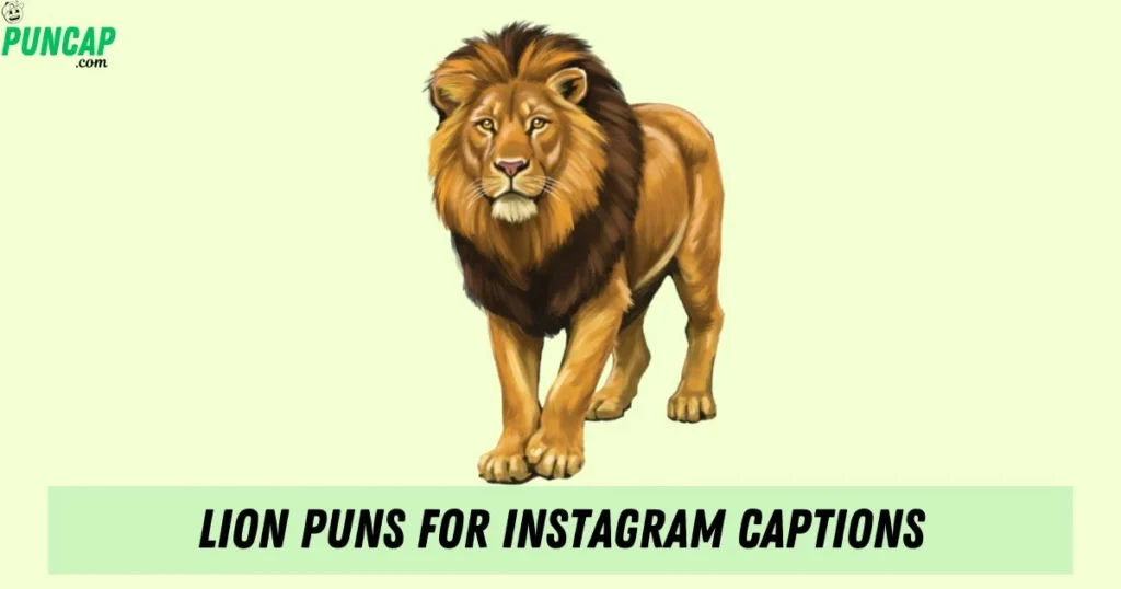 Lion Puns For Instagram Captions