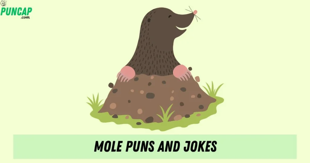 Mole Puns And Jokes