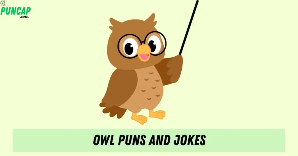 Owl Puns And Jokes
