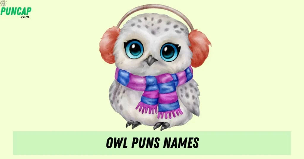Owl Puns Names