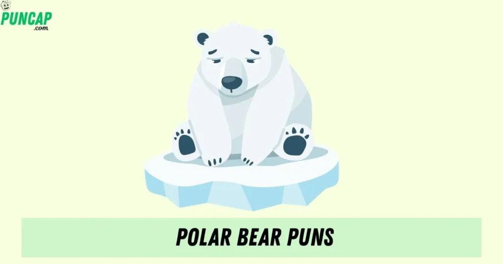 Polar Bear Puns