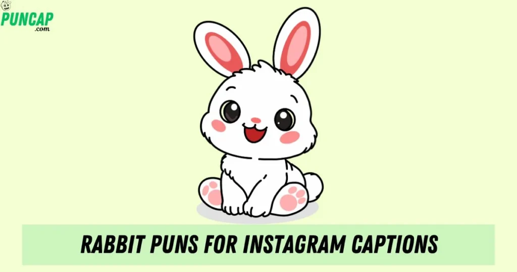 Rabbit Puns For Instagram Captions