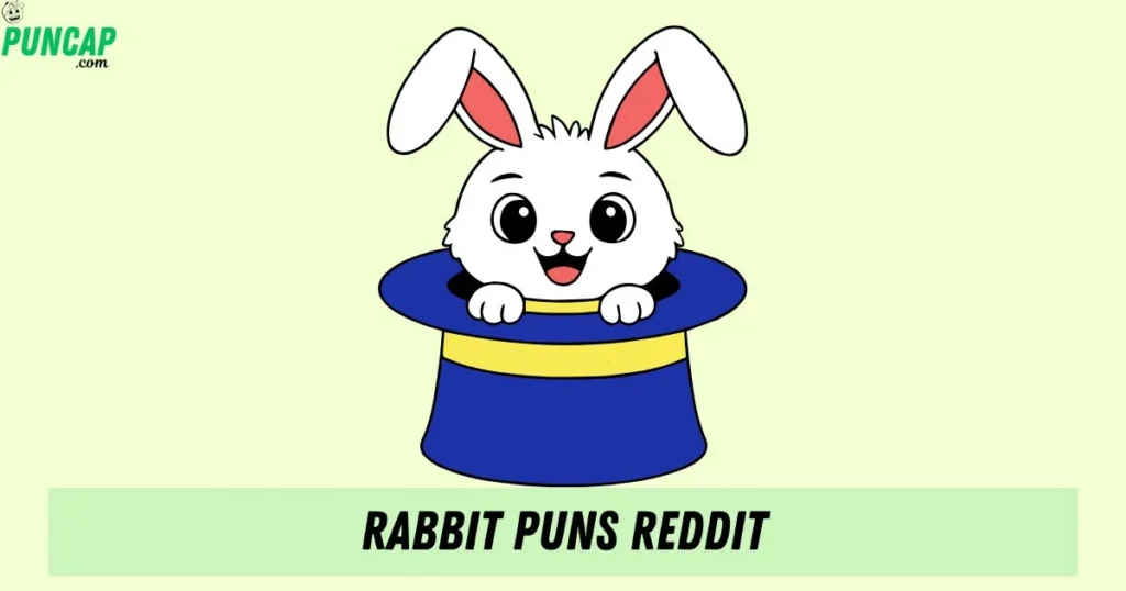 Rabbit Puns Reddit