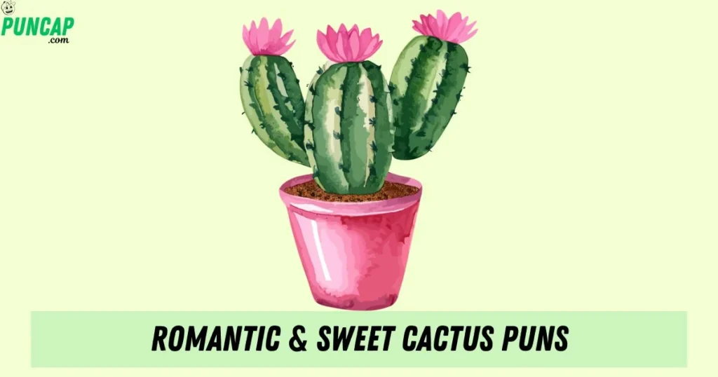 Romantic And Sweet Cactus Puns