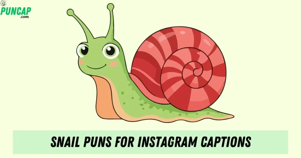 Snail Puns For Instagram Captions