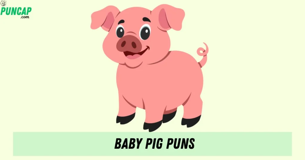 Baby Pig Puns