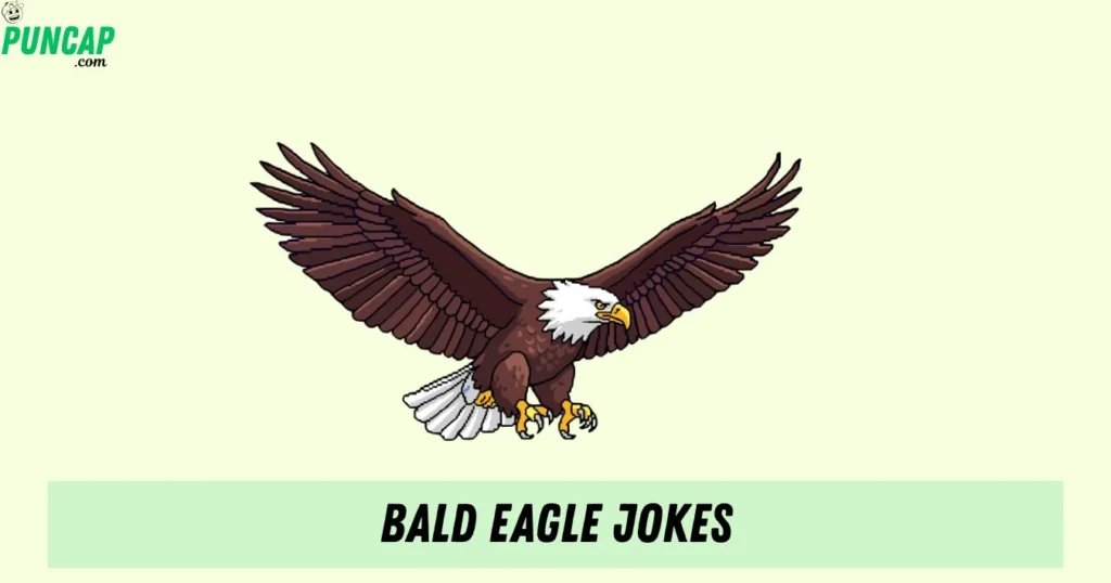 Bald Eagle Jokes