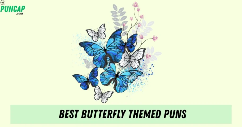 Best Butterfly Themed