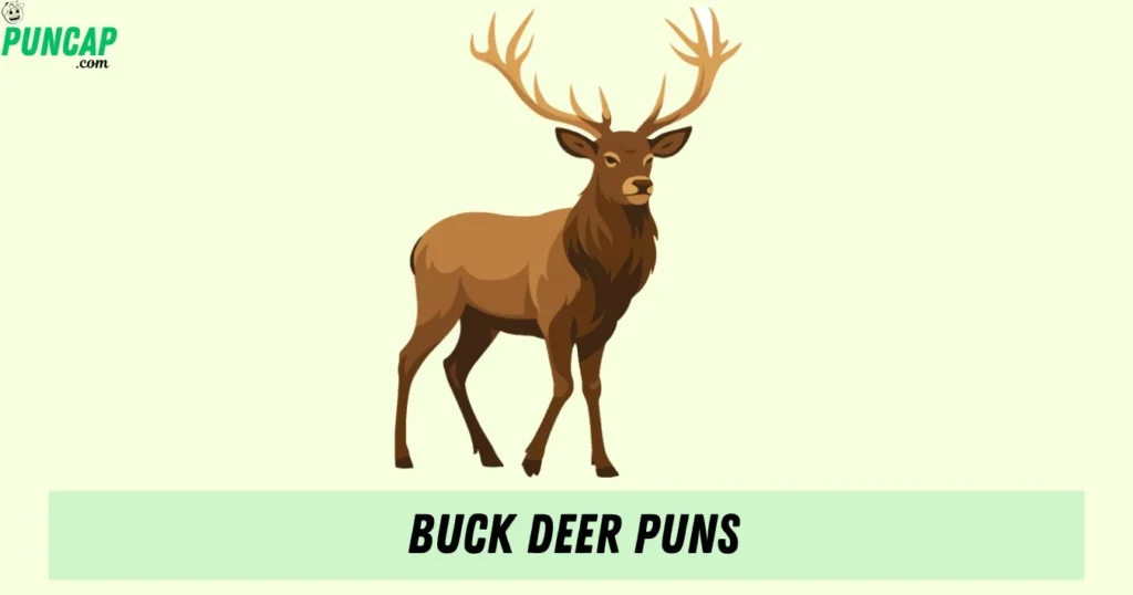 Buck Deer Puns