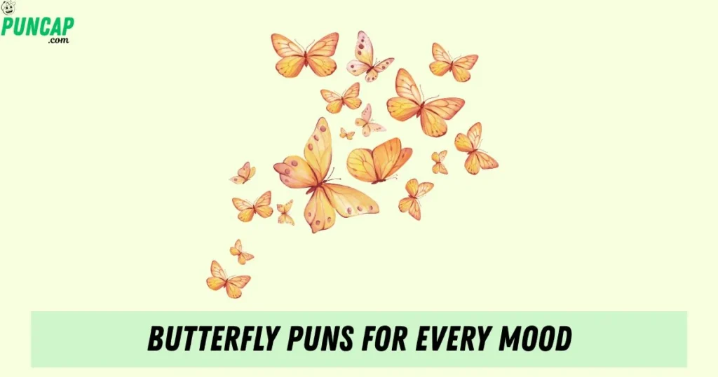 Butterfly Puns For Every Mood