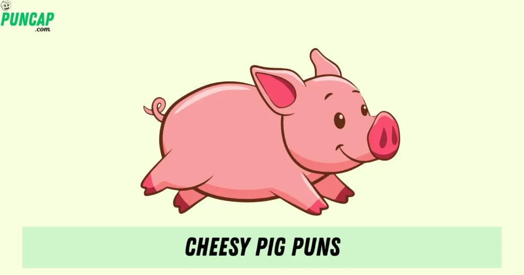 Cheesy Pig Puns