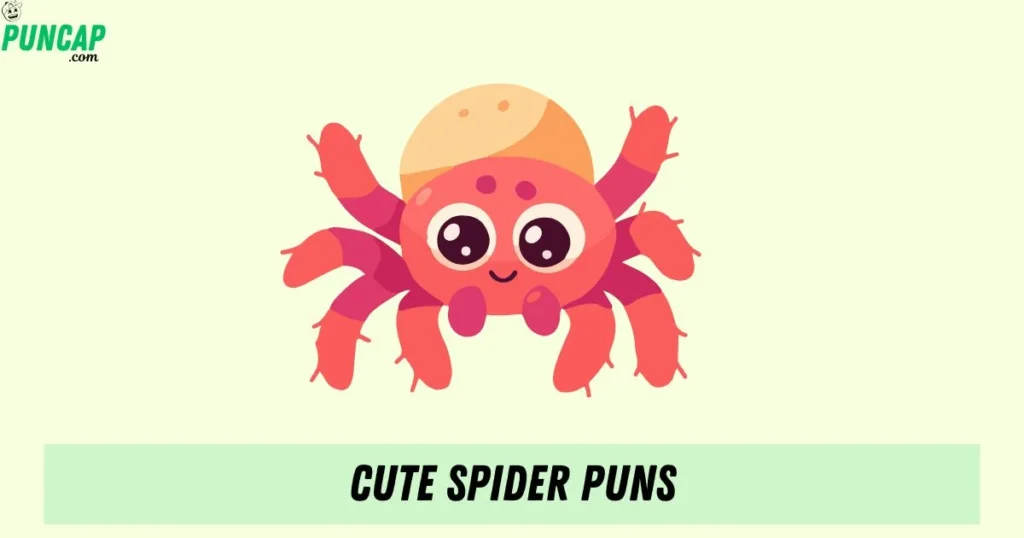 Cute Spider Puns