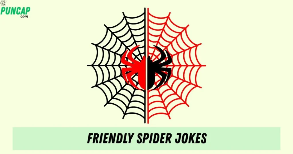 Friendly Spider Jokes