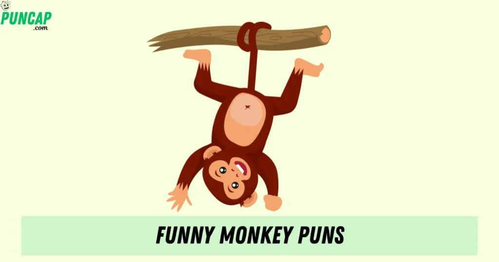 Funny Monkey Puns