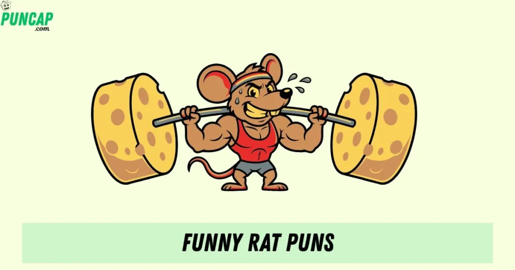 Funny Rat Puns