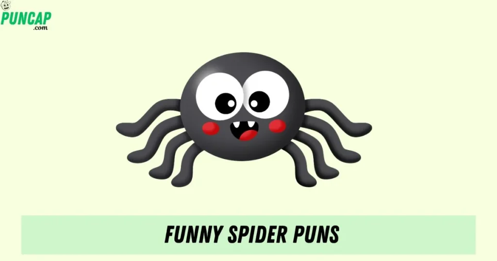 Funny Spider Puns