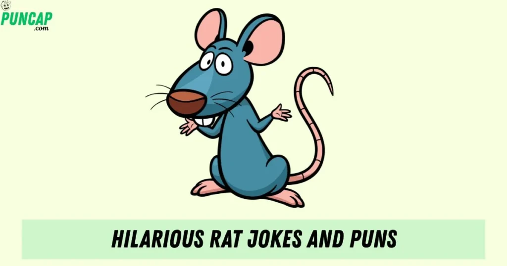 Hilarious Rat Jokes And Puns