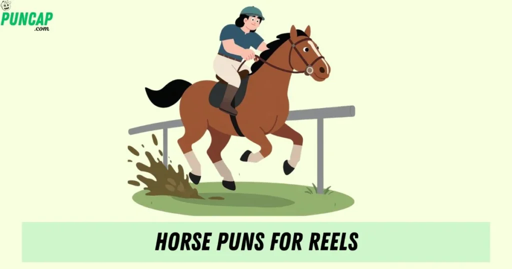 Horse Puns For Reels