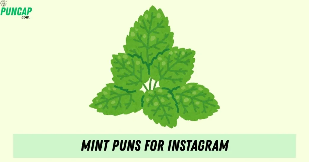 Mint Puns For Instagram