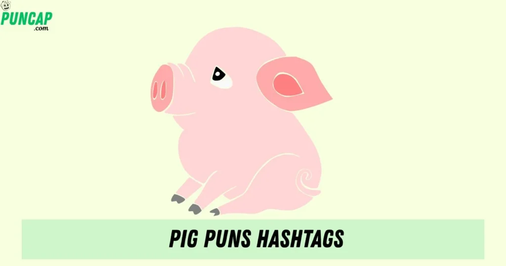 Pig Puns Hashtags