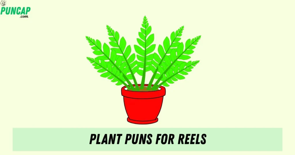 Plant Puns For Reels