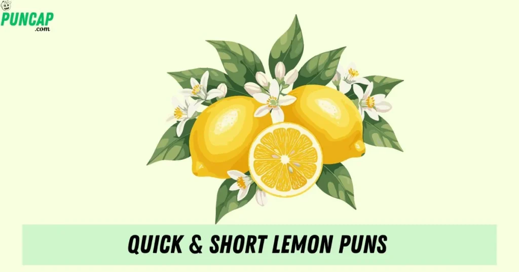 Quick And Short Lemon Puns