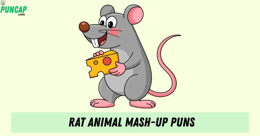 Rat Animal Mash Up Puns