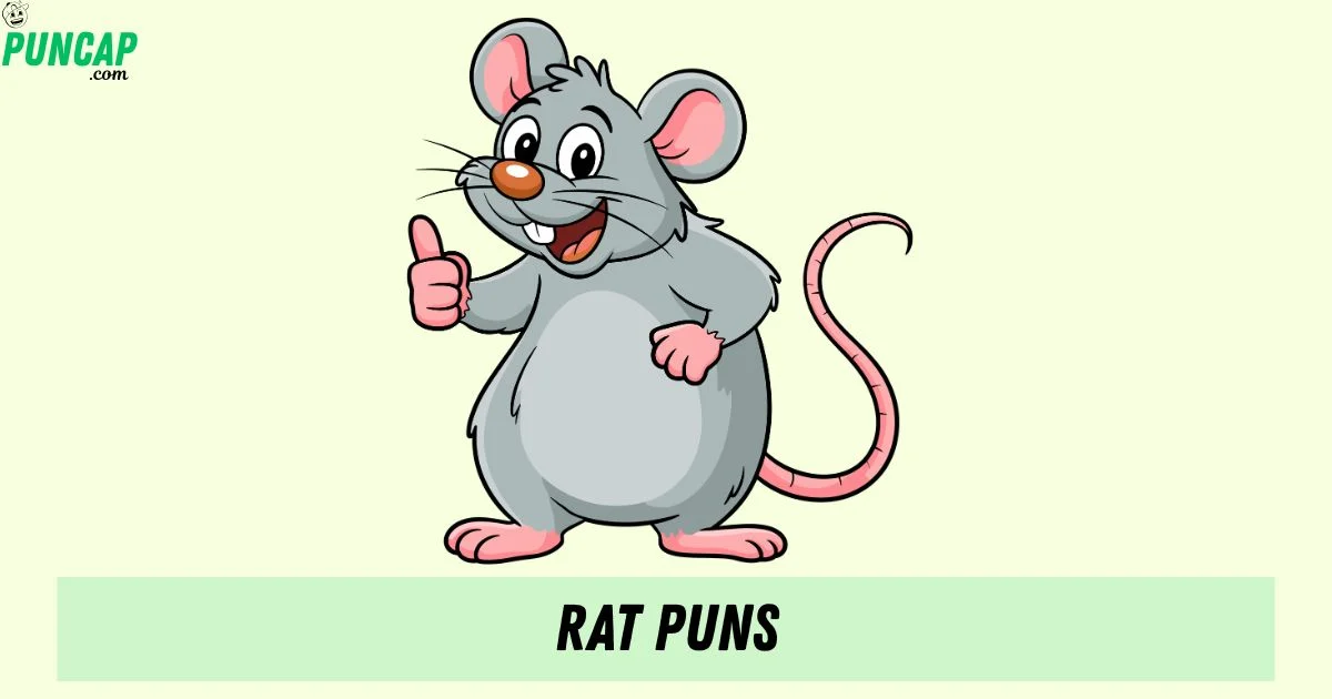 Rt Funy 395+ Funny Rat Puns for Friends and Meme Fans (2026)