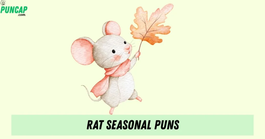 Rat Seasonal Puns