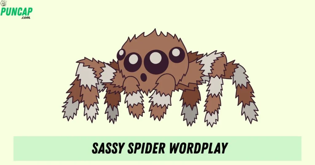 Sassy Spider Wordplay