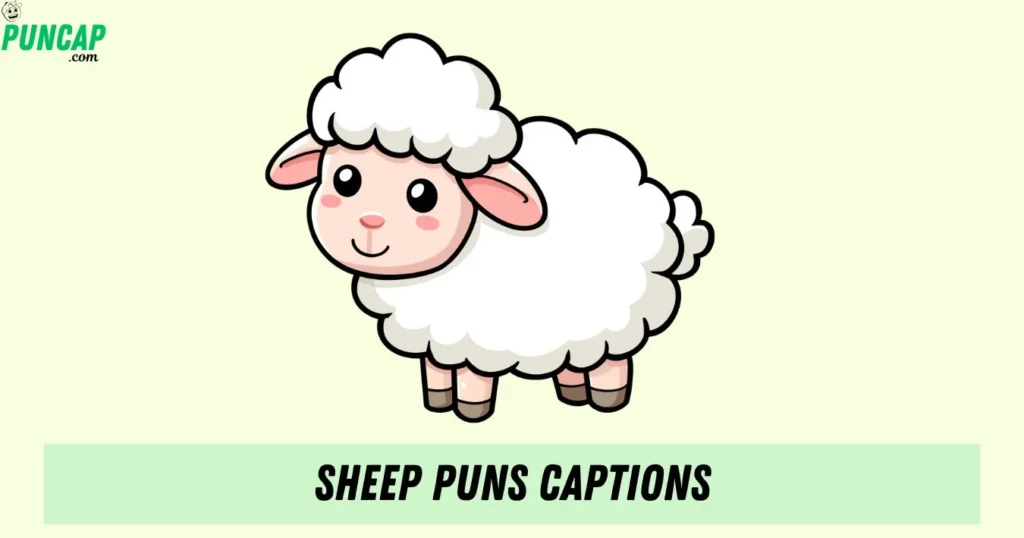 Sheep Puns Captions