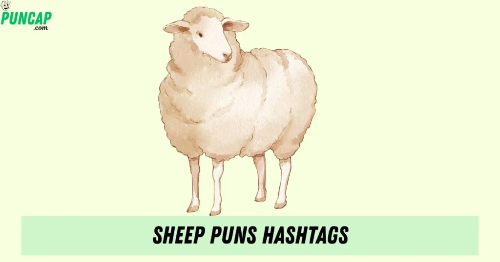 Sheep Puns Hashtags