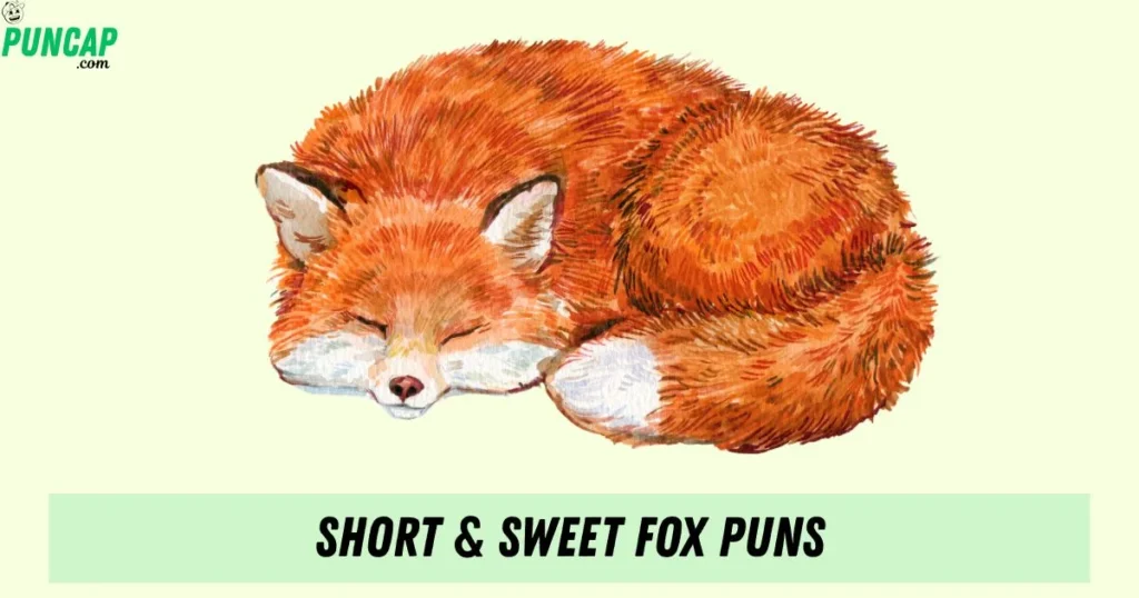 Short And Sweet Fox Puns