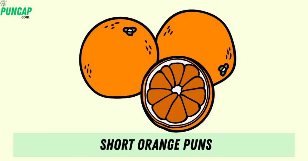 Short Orange Puns