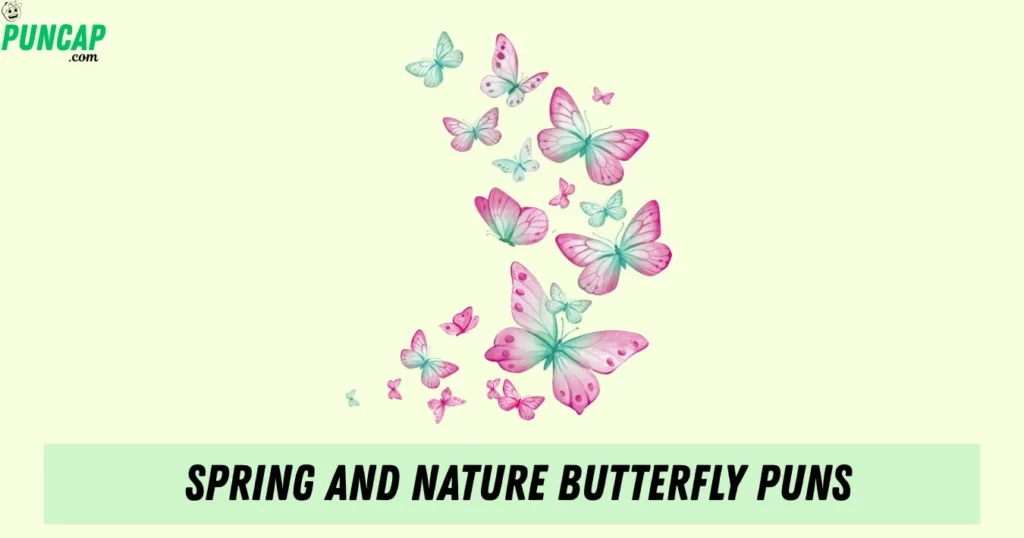 Spring And Nature Butterfly Puns