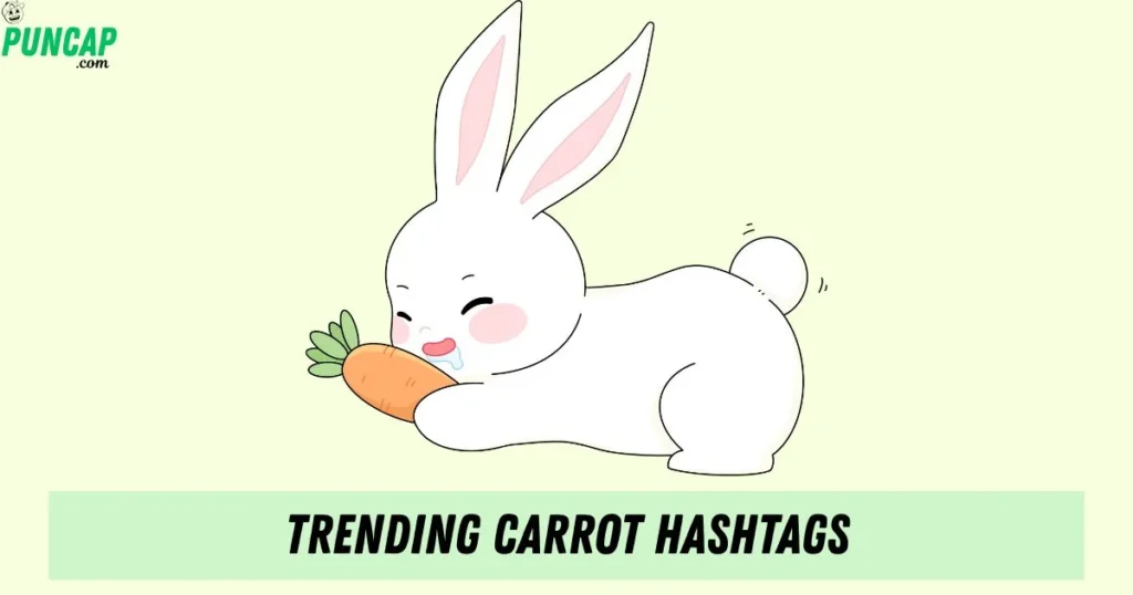 Trending Carrot Hashtags