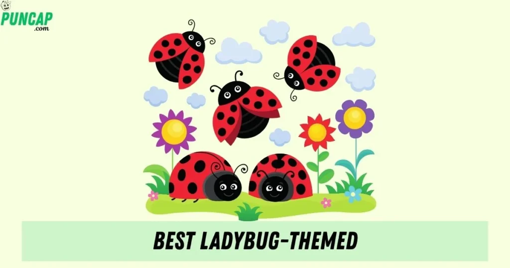Best Ladybug Themed