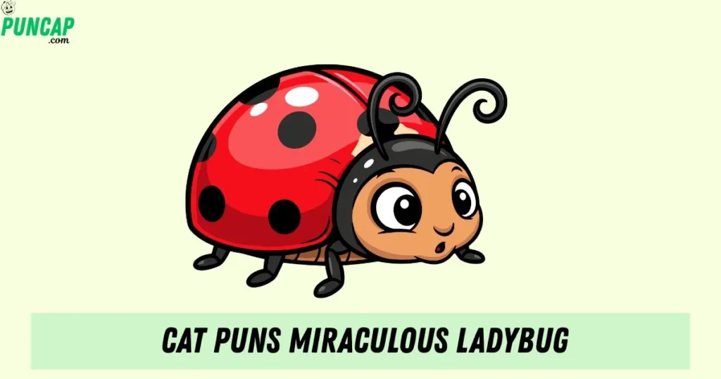 Cat Puns Miraculous Ladybug