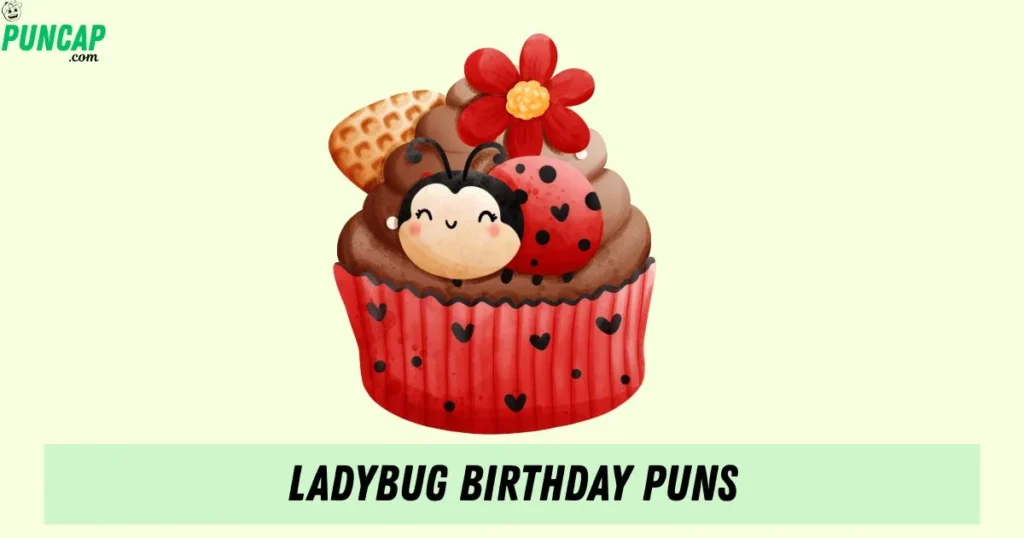 Ladybug Birthday Puns
