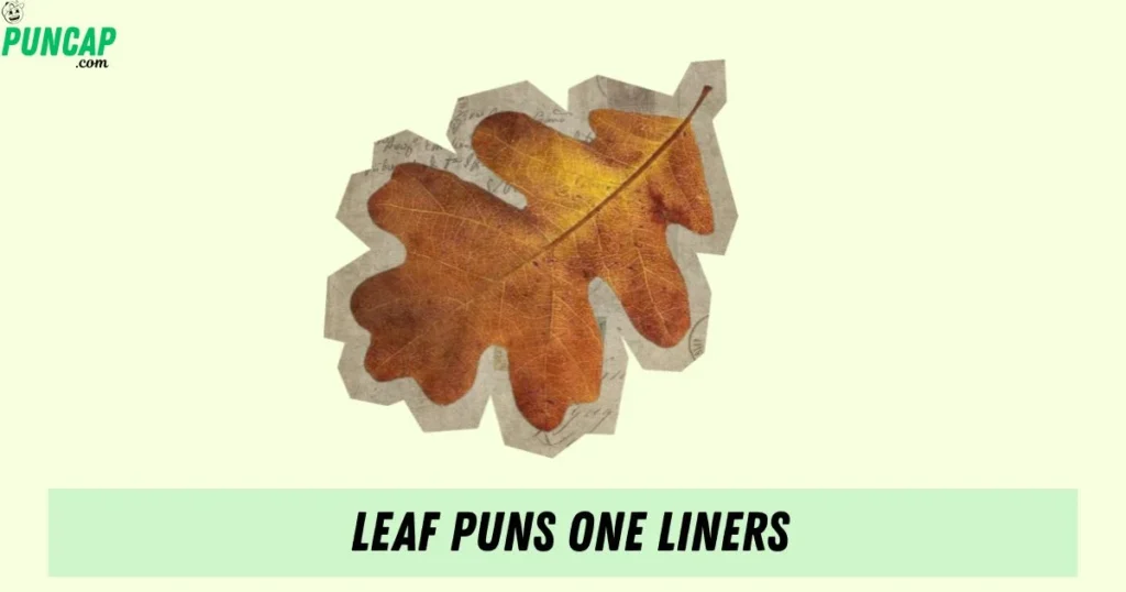 Leaf Puns One Liners