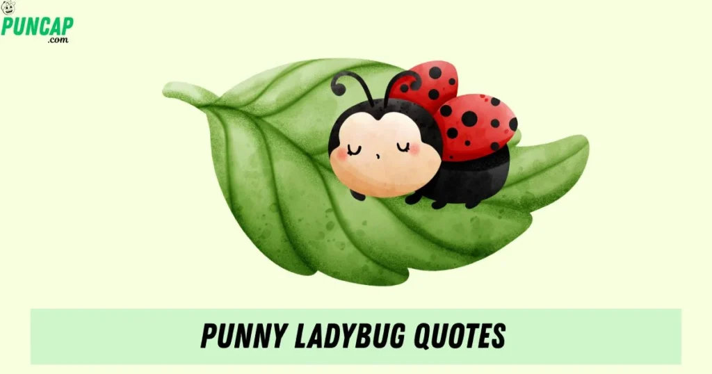 Punny Ladybug Quotes