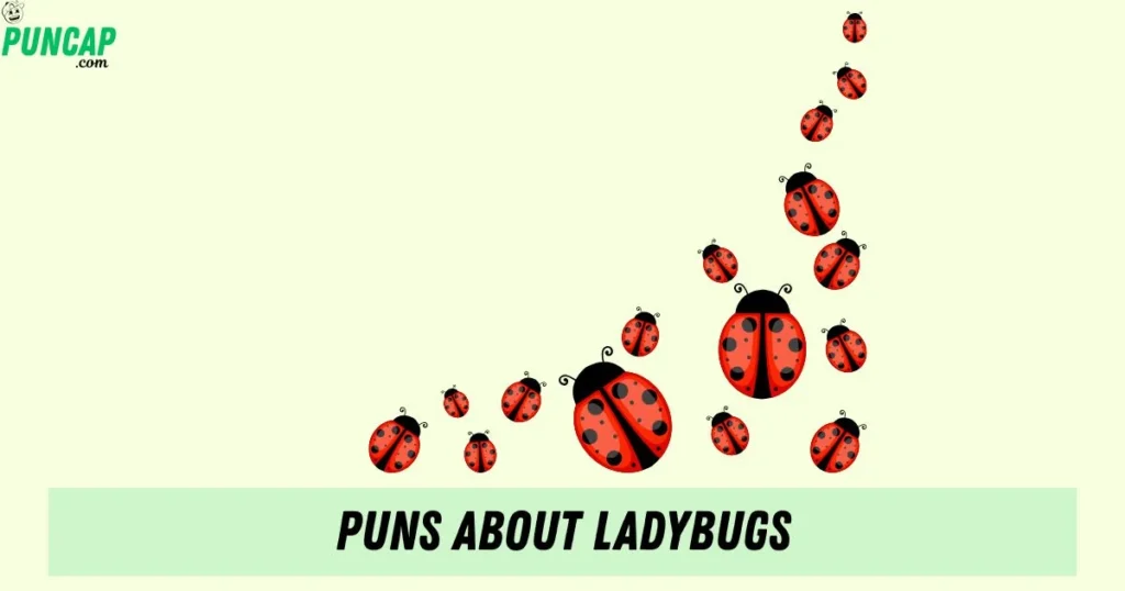 Puns About Ladybugs