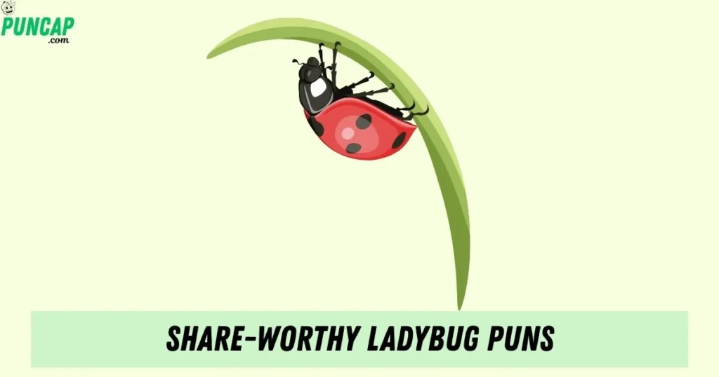 Share Worthy Ladybug Puns