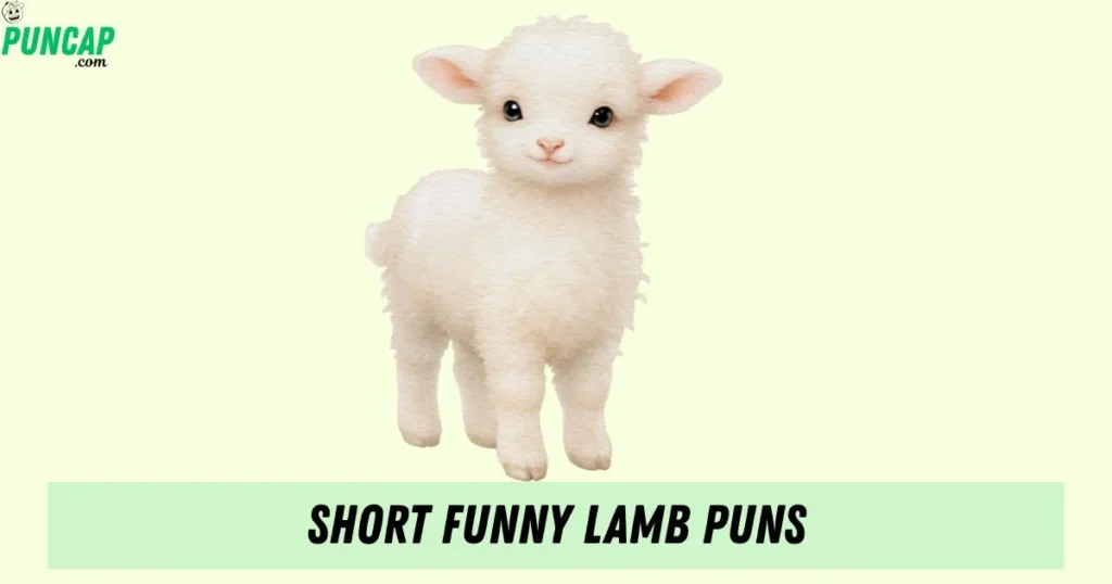 Short Funny Lamb Puns
